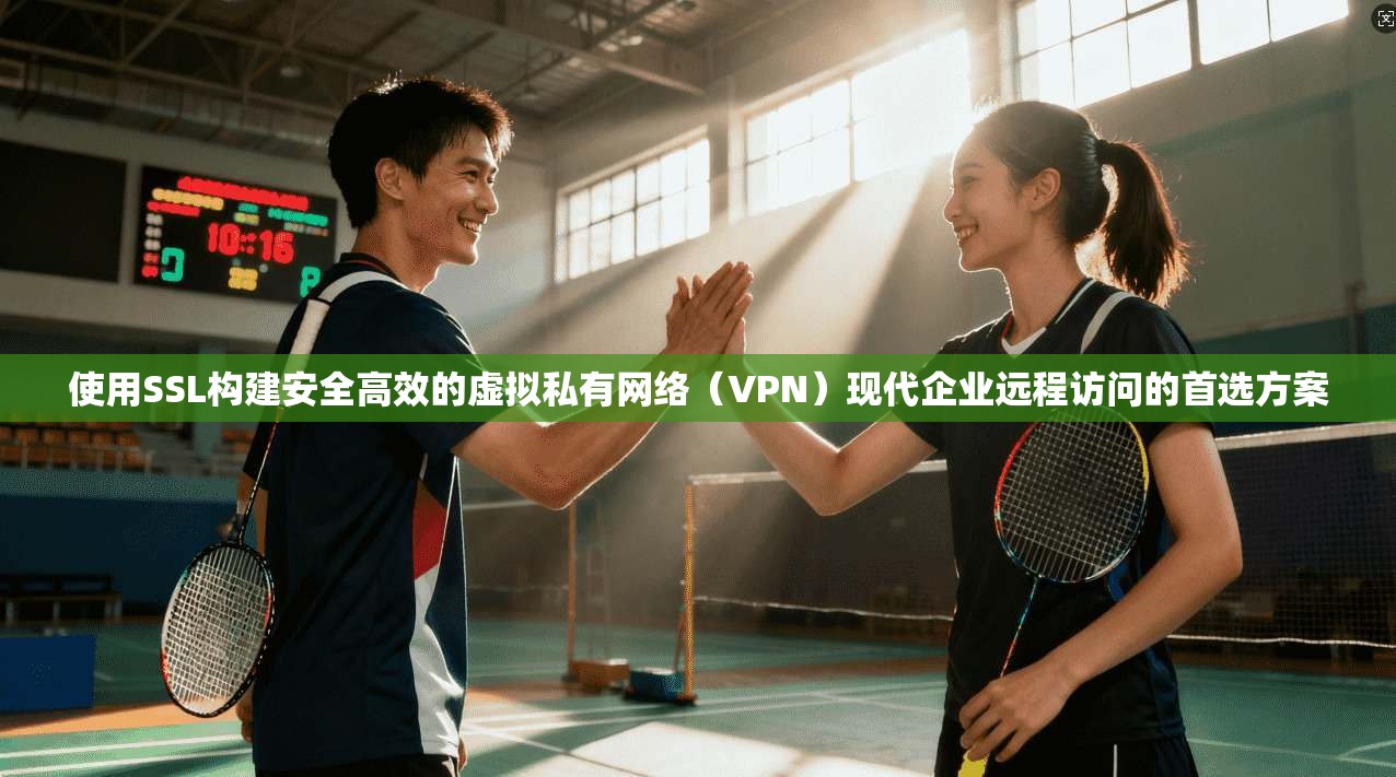 使用SSL构建安全高效的虚拟私有网络（VPN）现代企业远程访问的首选方案