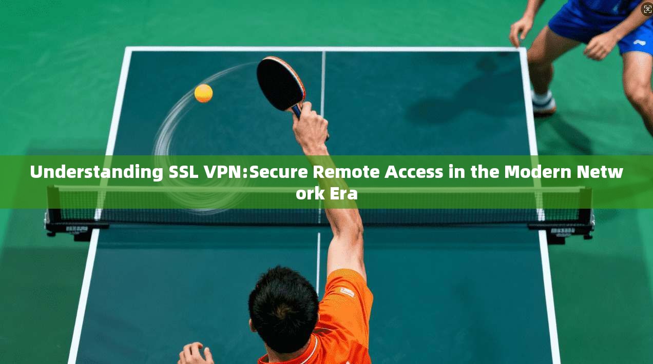Understanding SSL VPN:Secure Remote Access in the Modern Network Era
