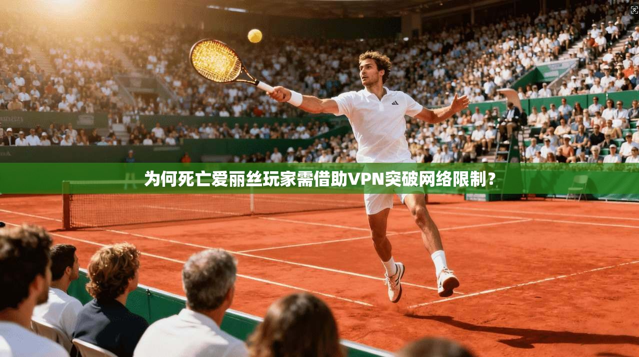 为何死亡爱丽丝玩家需借助VPN突破网络限制？