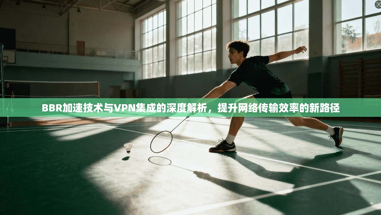 BBR加速技术与VPN集成的深度解析，提升网络传输效率的新路径