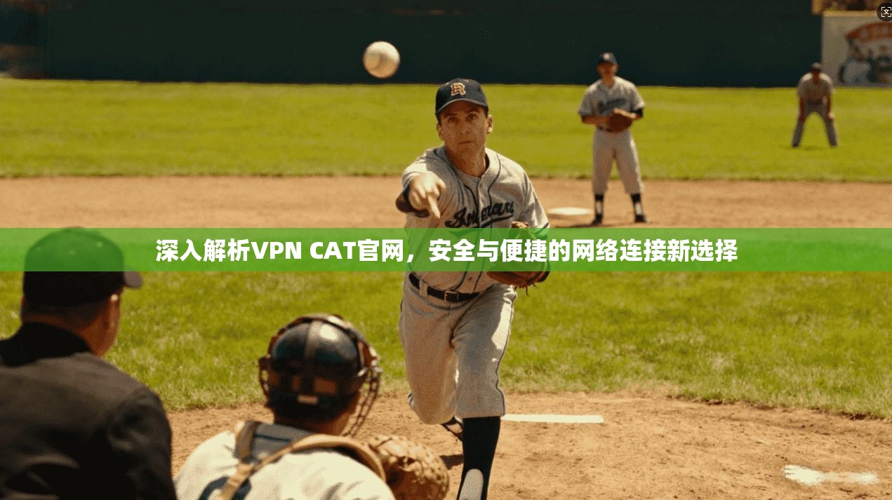 深入解析VPN CAT官网，安全与便捷的网络连接新选择