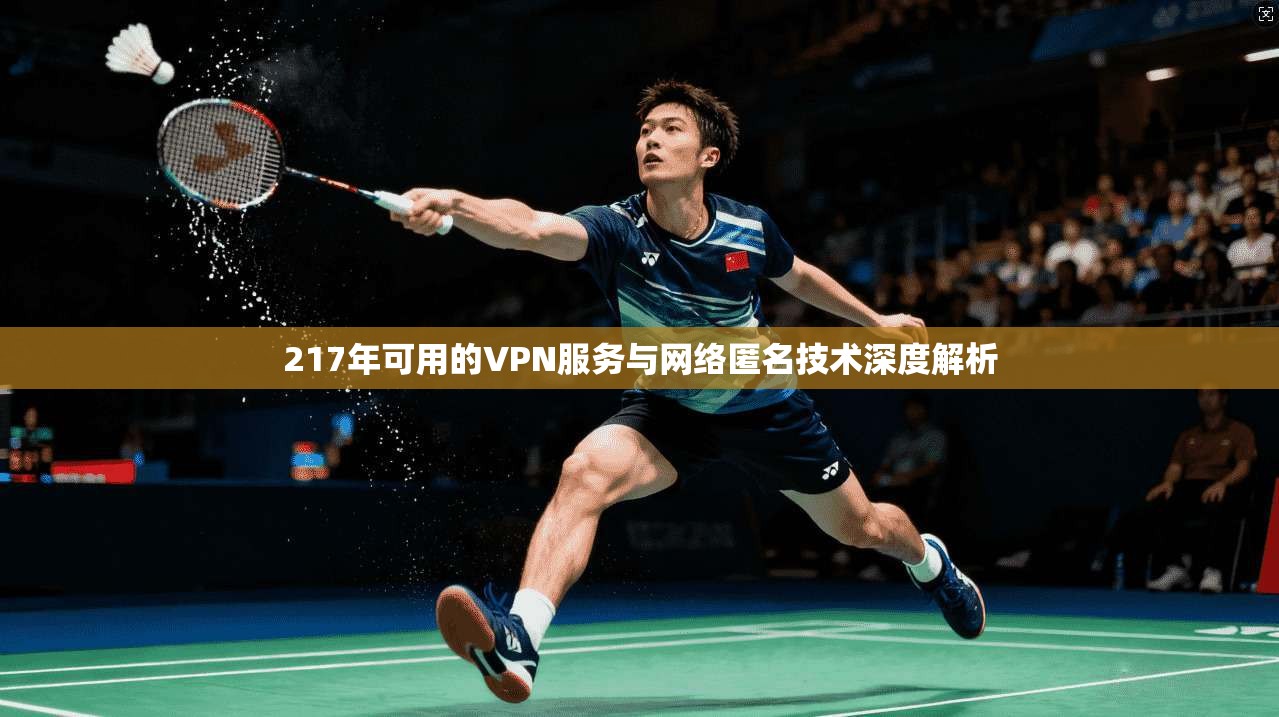 217年可用的VPN服务与网络匿名技术深度解析
