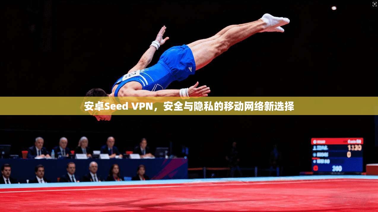 安卓Seed VPN，安全与隐私的移动网络新选择