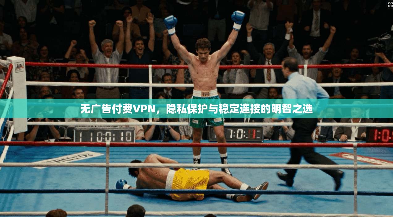 无广告付费VPN，隐私保护与稳定连接的明智之选