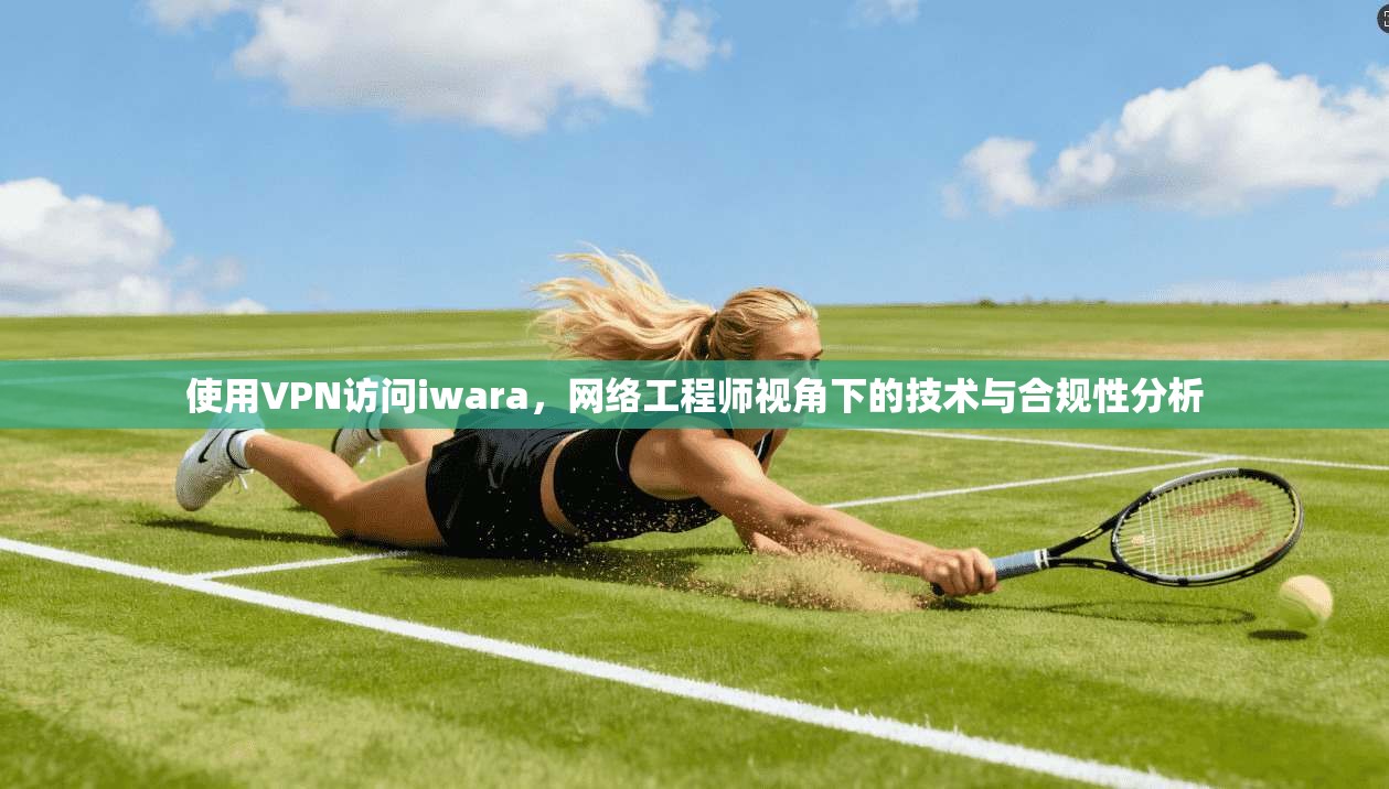 使用VPN访问iwara，网络工程师视角下的技术与合规性分析