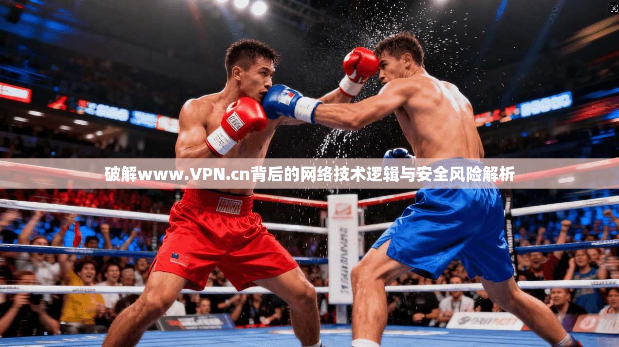 破解www.VPN.cn背后的网络技术逻辑与安全风险解析