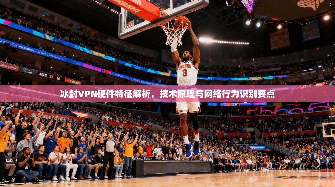 冰封VPN硬件特征解析，技术原理与网络行为识别要点