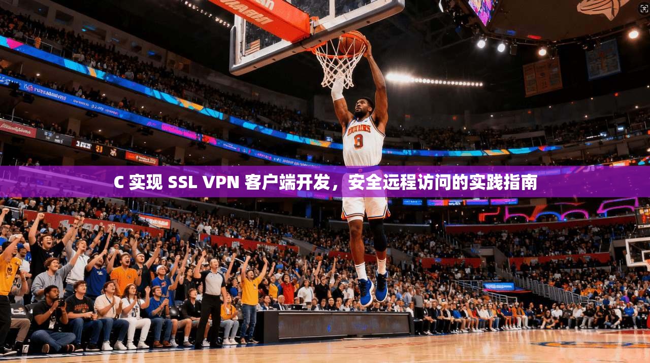 C 实现 SSL VPN 客户端开发，安全远程访问的实践指南