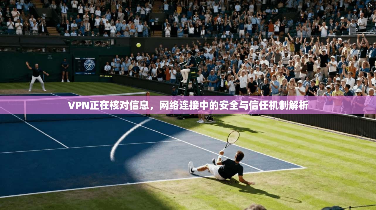 VPN正在核对信息，网络连接中的安全与信任机制解析