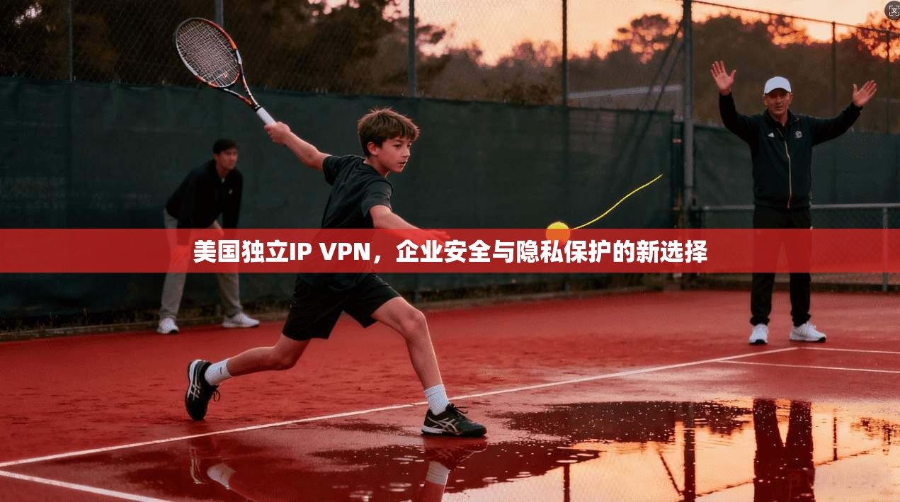 美国独立IP VPN，企业安全与隐私保护的新选择