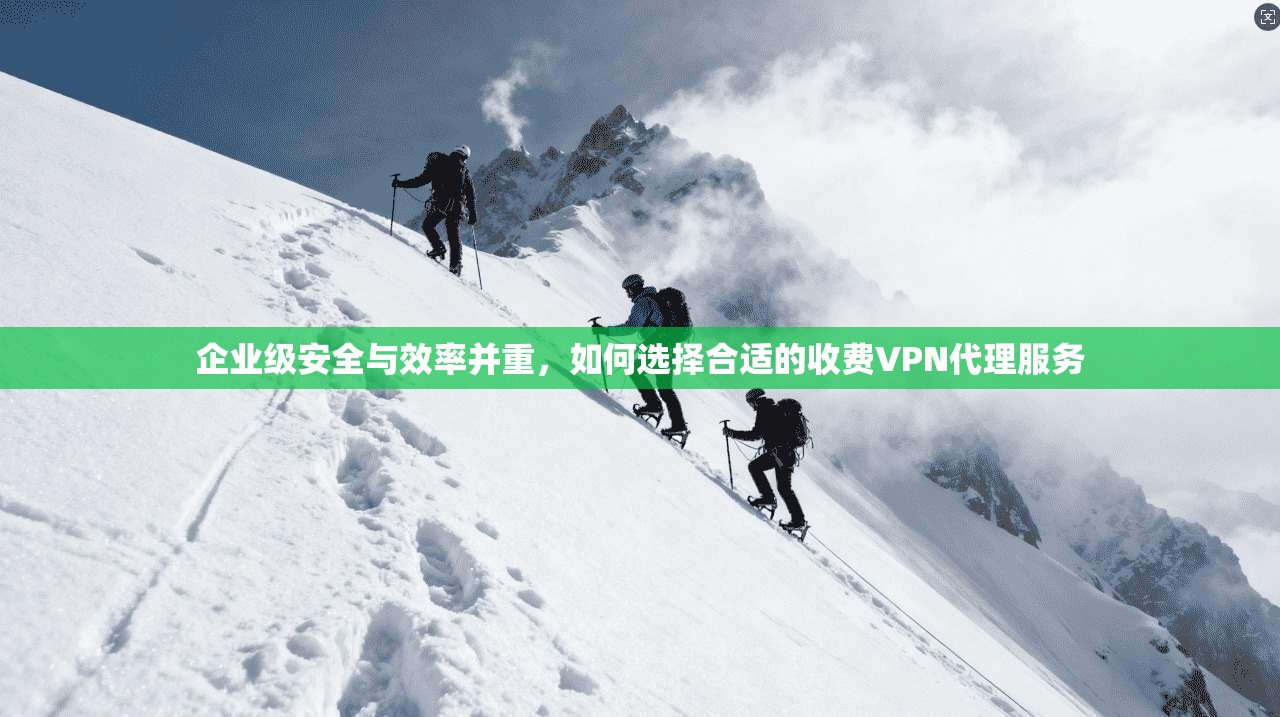 企业级安全与效率并重，如何选择合适的收费VPN代理服务