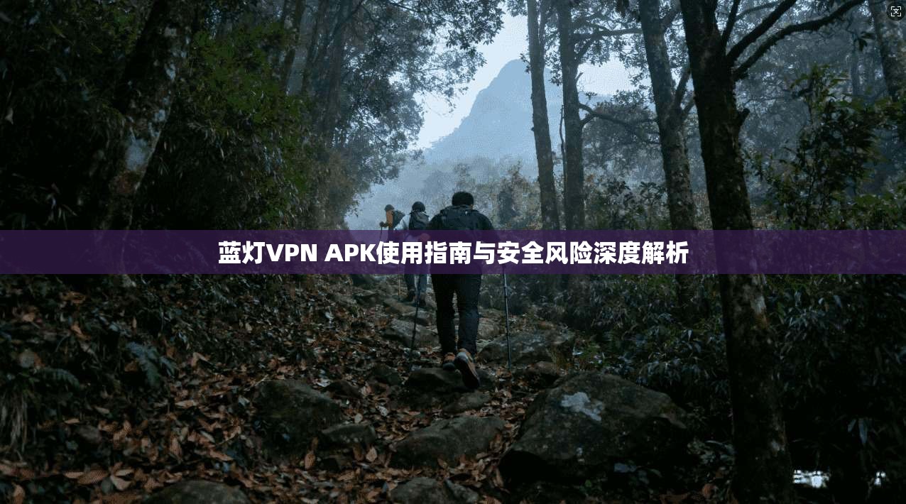 蓝灯VPN APK使用指南与安全风险深度解析