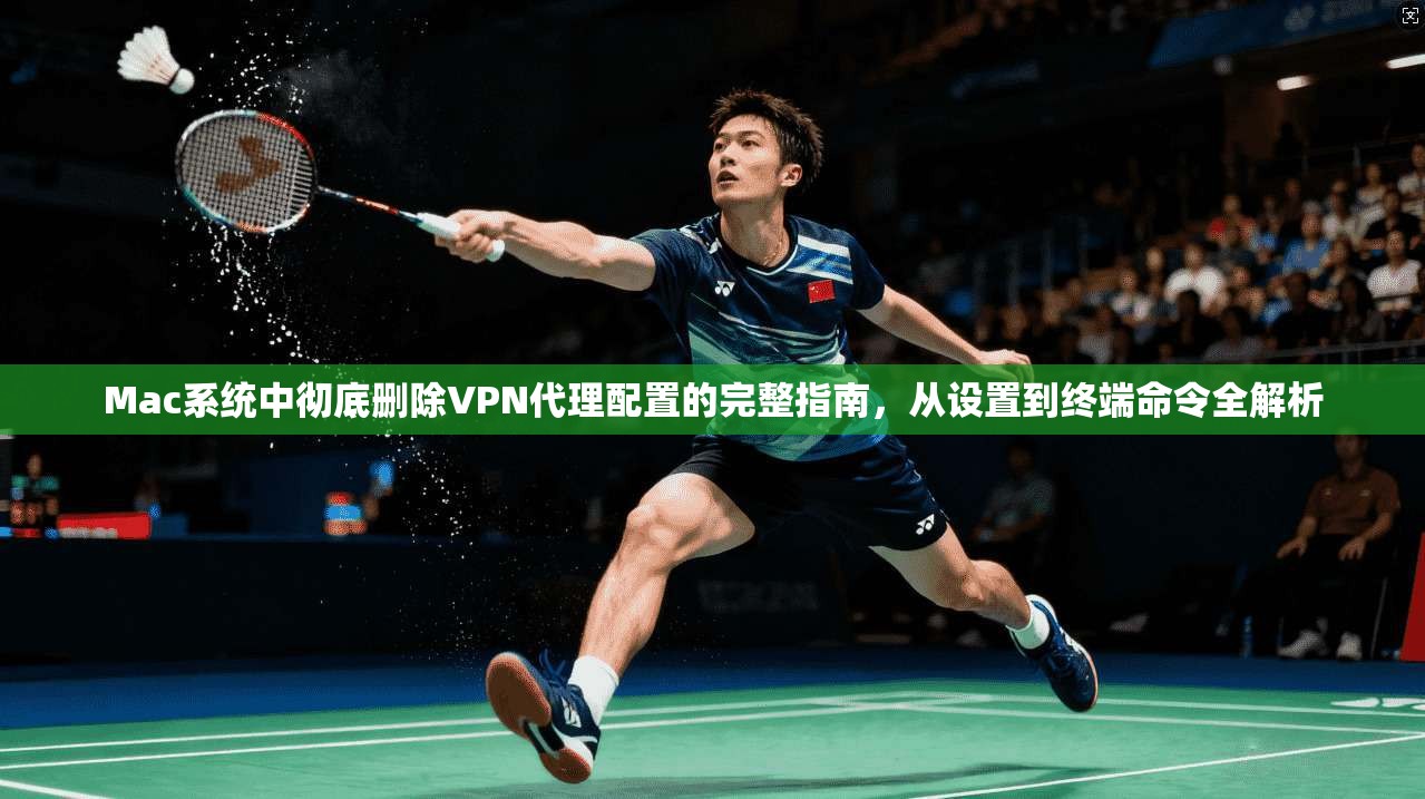 Mac系统中彻底删除VPN代理配置的完整指南，从设置到终端命令全解析