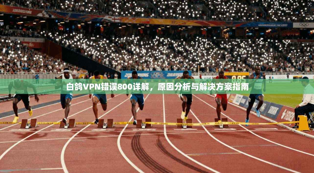 白鸽VPN错误800详解，原因分析与解决方案指南