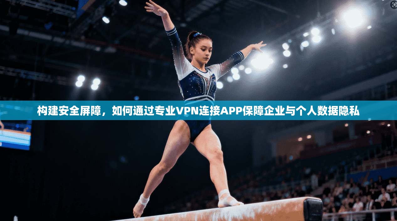 构建安全屏障，如何通过专业VPN连接APP保障企业与个人数据隐私