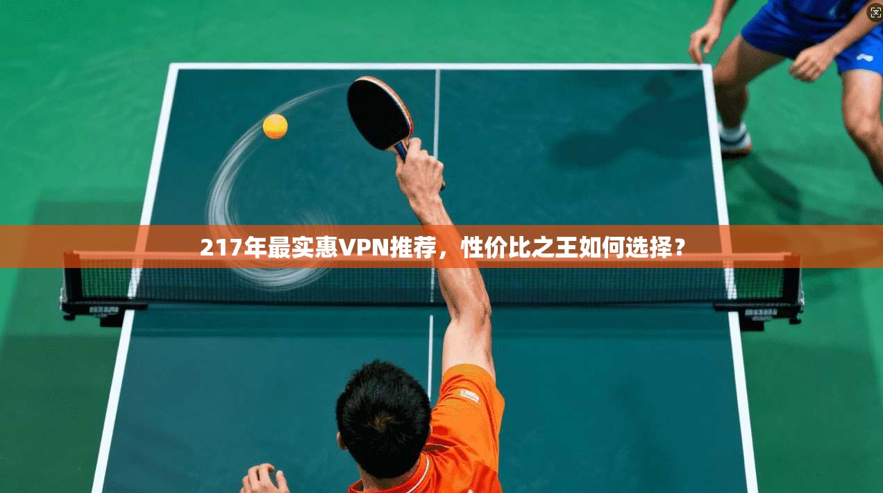 217年最实惠VPN推荐，性价比之王如何选择？