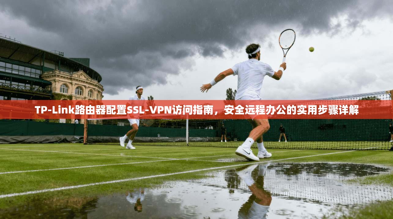 TP-Link路由器配置SSL-VPN访问指南，安全远程办公的实用步骤详解