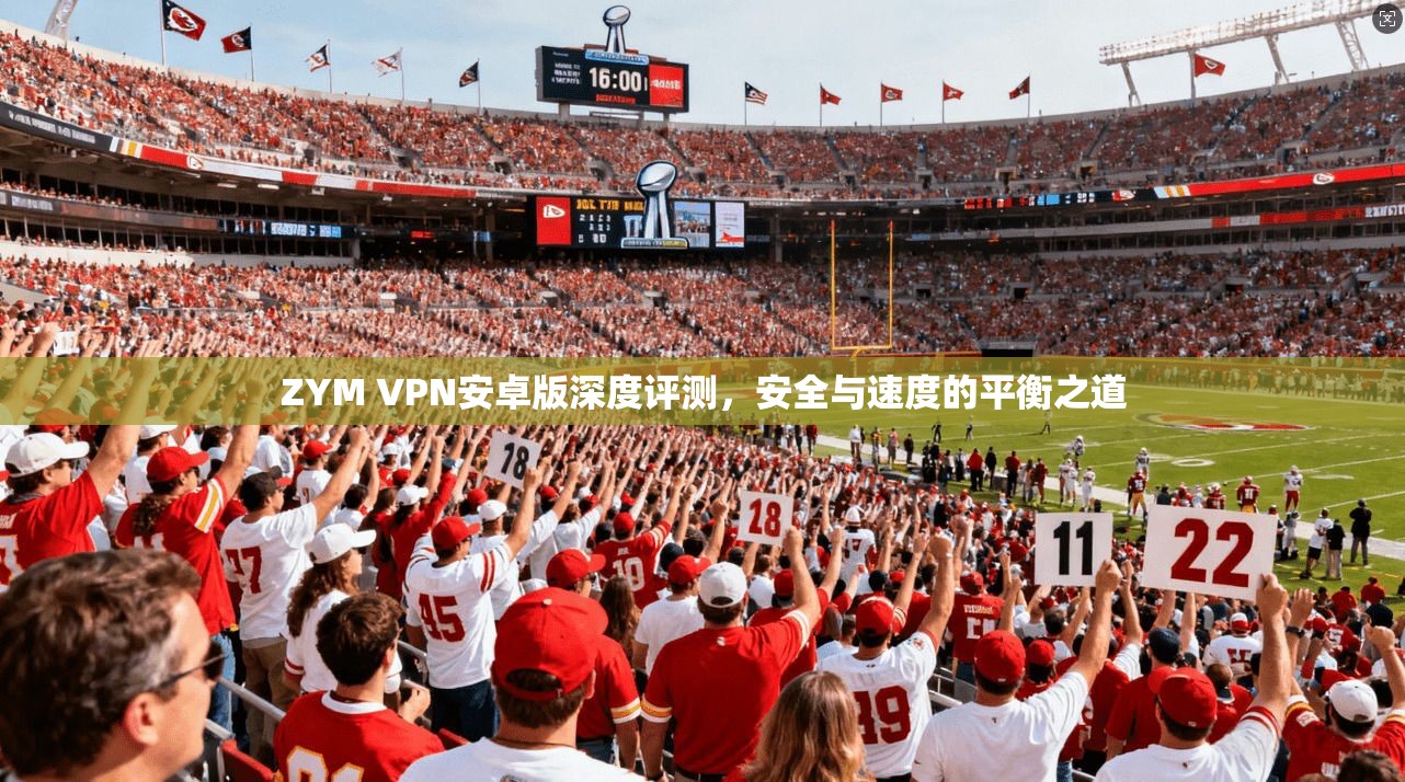 ZYM VPN安卓版深度评测，安全与速度的平衡之道