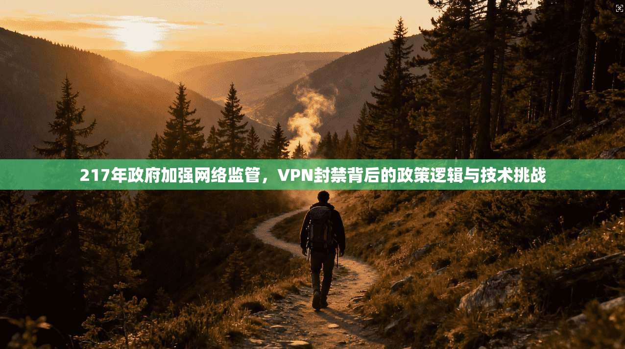 217年政府加强网络监管，VPN封禁背后的政策逻辑与技术挑战
