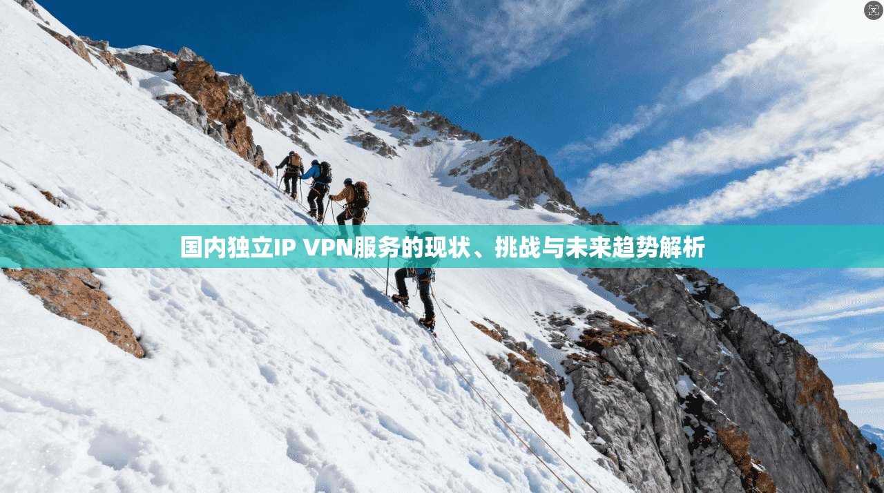国内独立IP VPN服务的现状、挑战与未来趋势解析