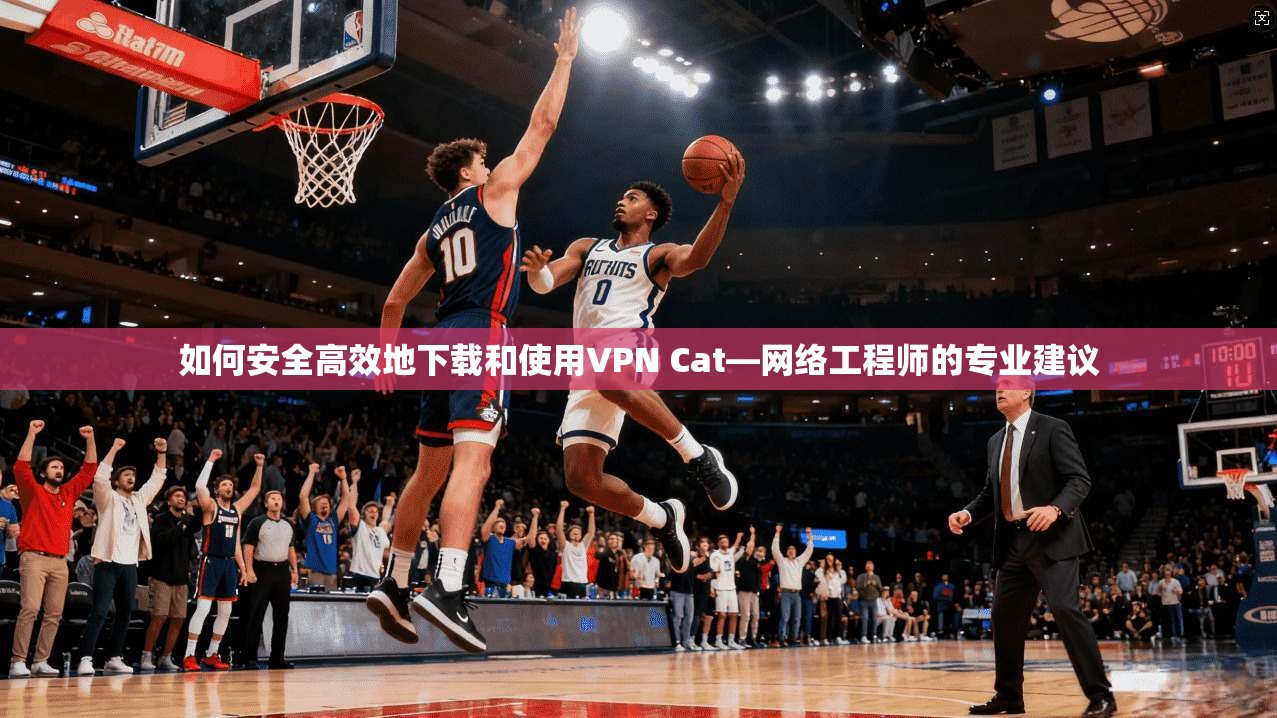 如何安全高效地下载和使用VPN Cat—网络工程师的专业建议