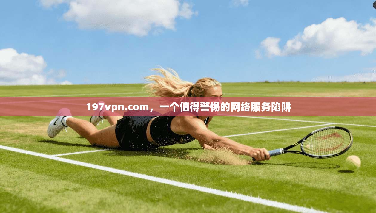197vpn.com，一个值得警惕的网络服务陷阱