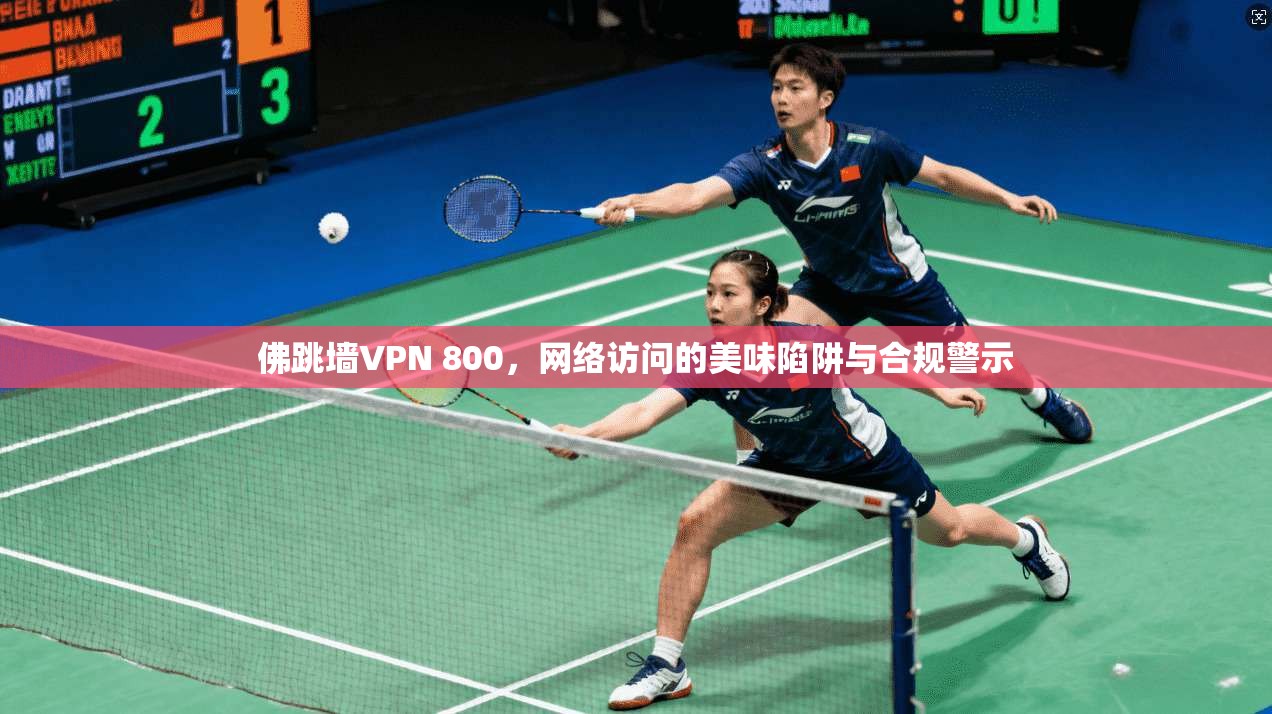 佛跳墙VPN 800，网络访问的美味陷阱与合规警示