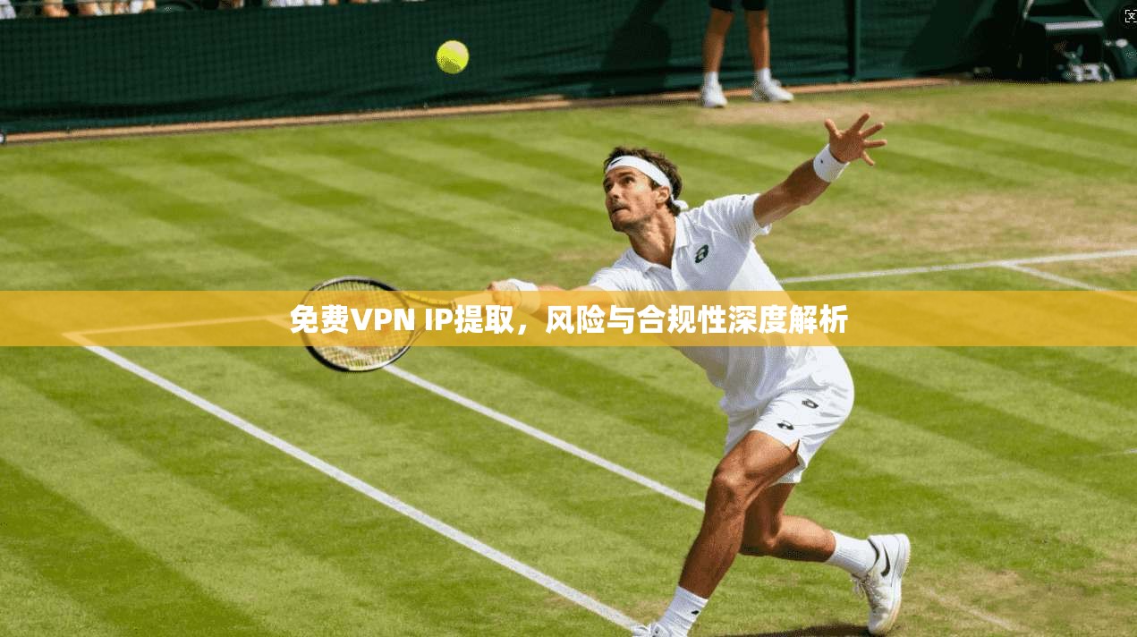 免费VPN IP提取，风险与合规性深度解析