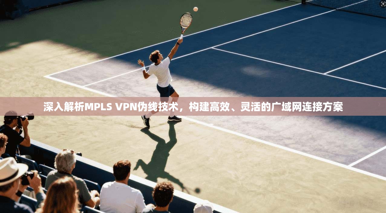 深入解析MPLS VPN伪线技术，构建高效、灵活的广域网连接方案