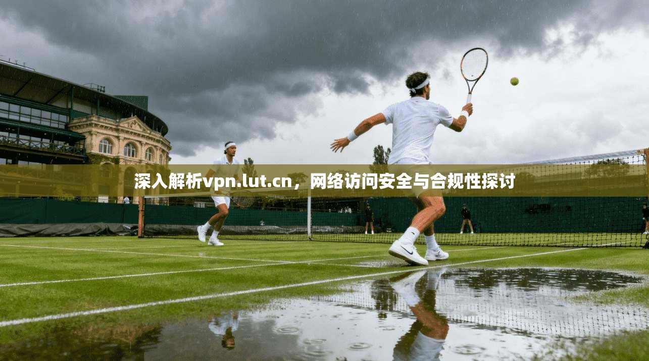 深入解析vpn.lut.cn，网络访问安全与合规性探讨