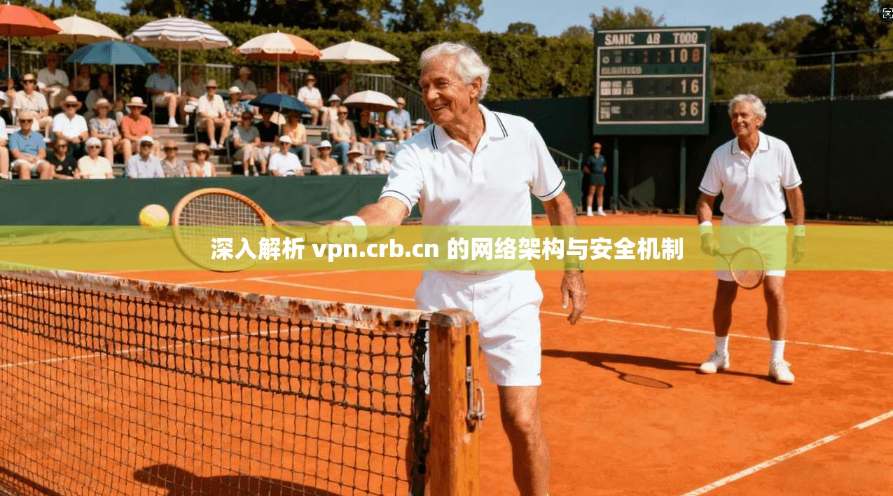 深入解析 vpn.crb.cn 的网络架构与安全机制