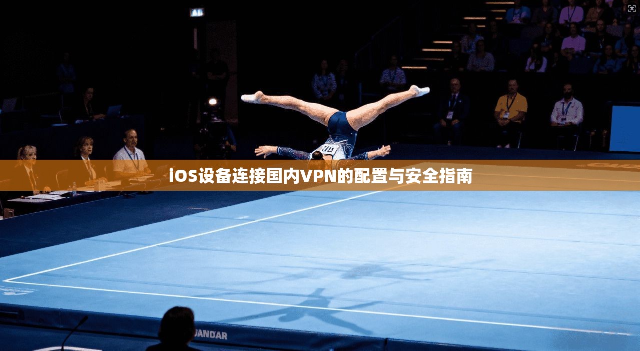 iOS设备连接国内VPN的配置与安全指南