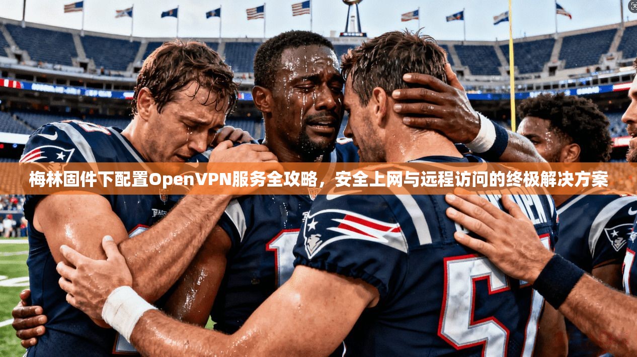 梅林固件下配置OpenVPN服务全攻略，安全上网与远程访问的终极解决方案