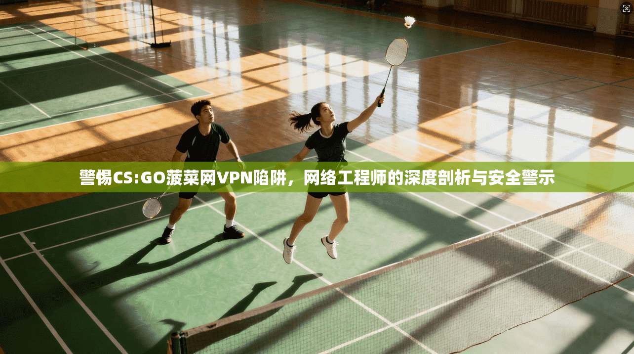 警惕CS:GO菠菜网VPN陷阱，网络工程师的深度剖析与安全警示