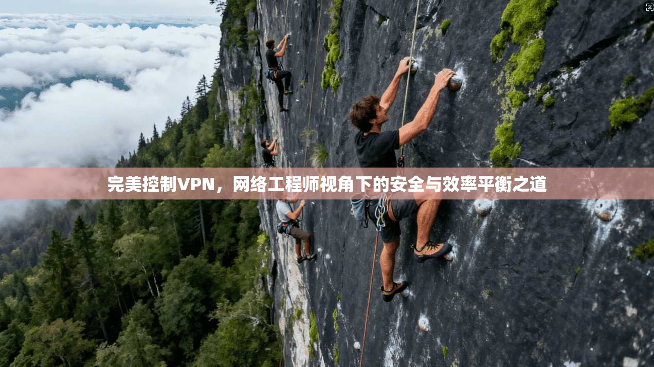 完美控制VPN，网络工程师视角下的安全与效率平衡之道