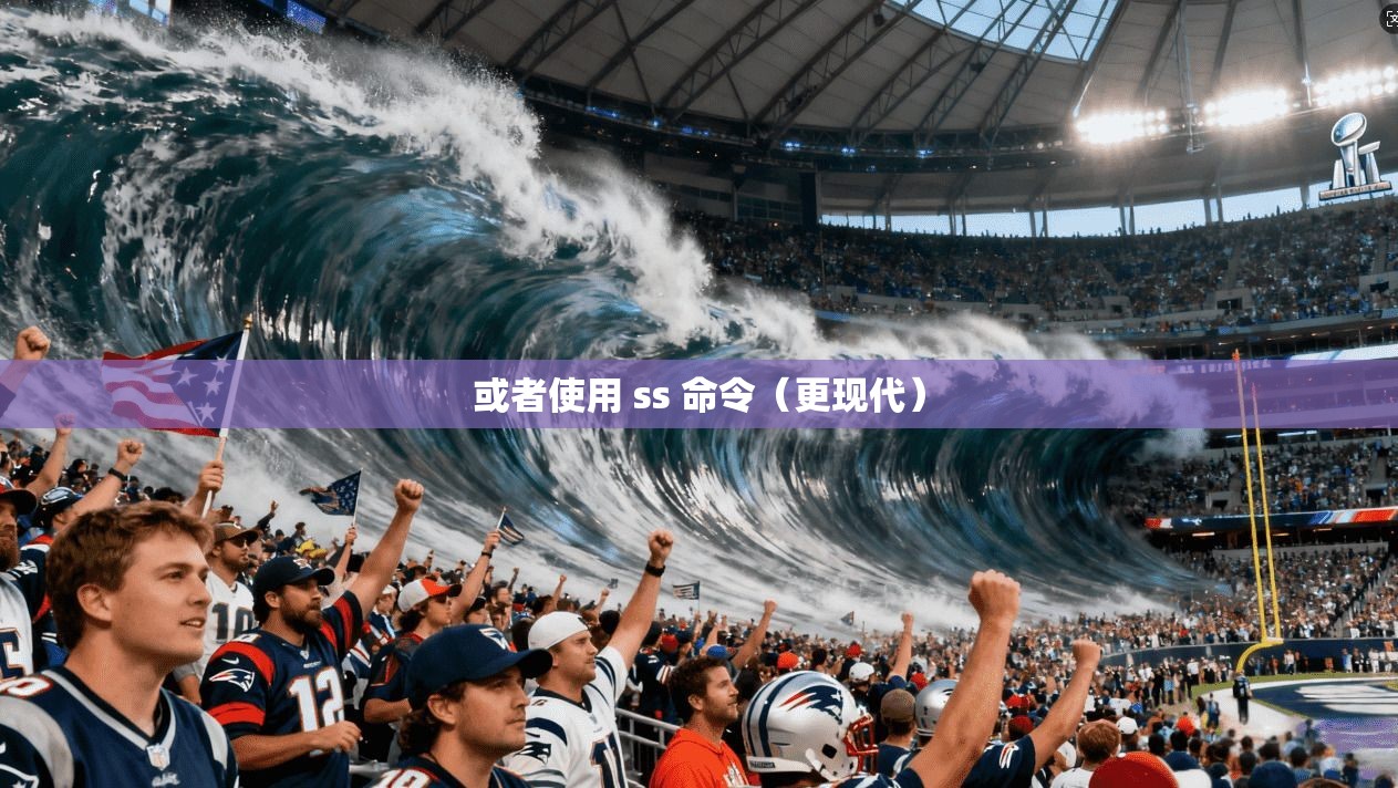 或者使用 ss 命令（更现代）