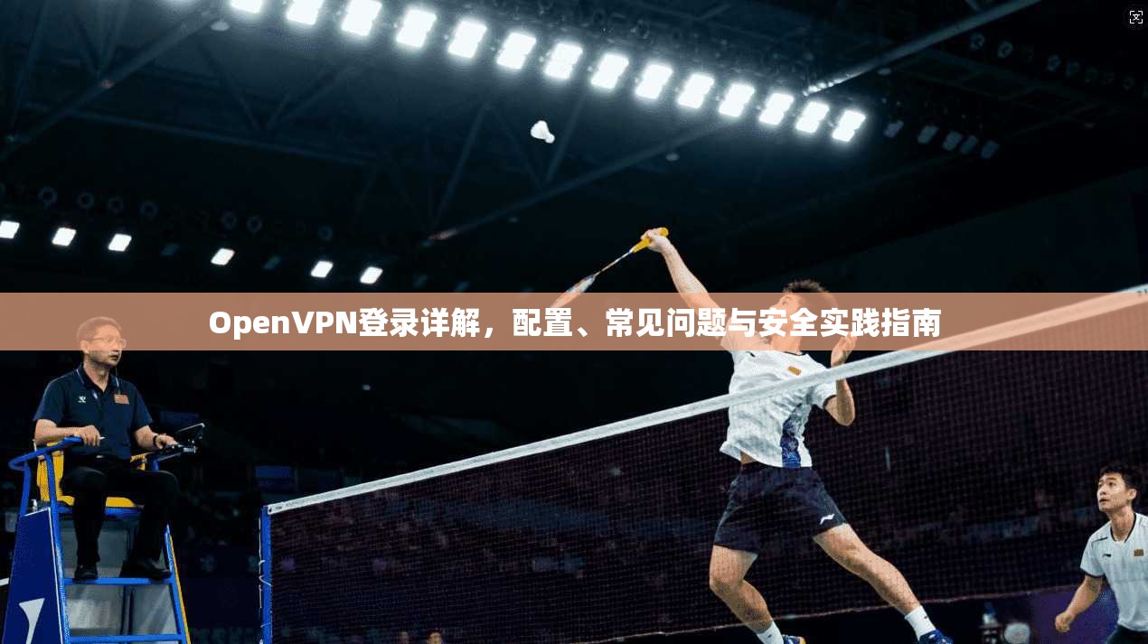 OpenVPN登录详解，配置、常见问题与安全实践指南