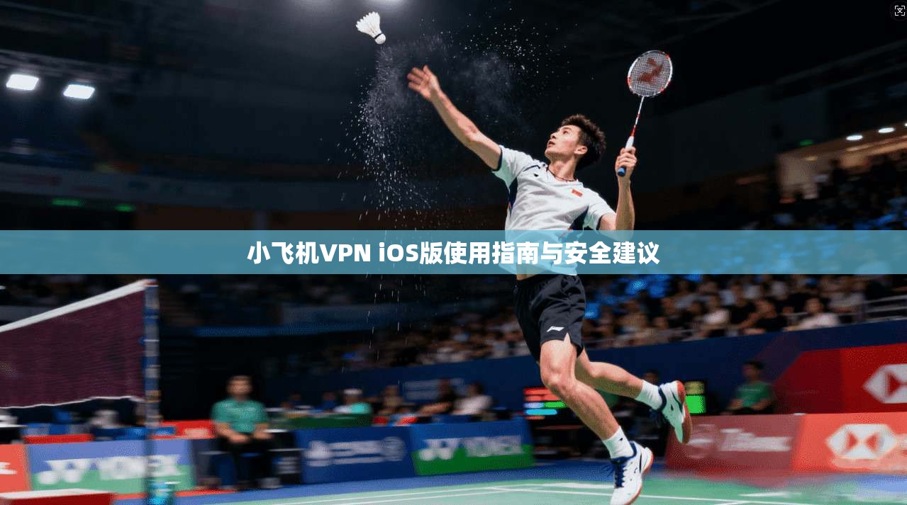 小飞机VPN iOS版使用指南与安全建议