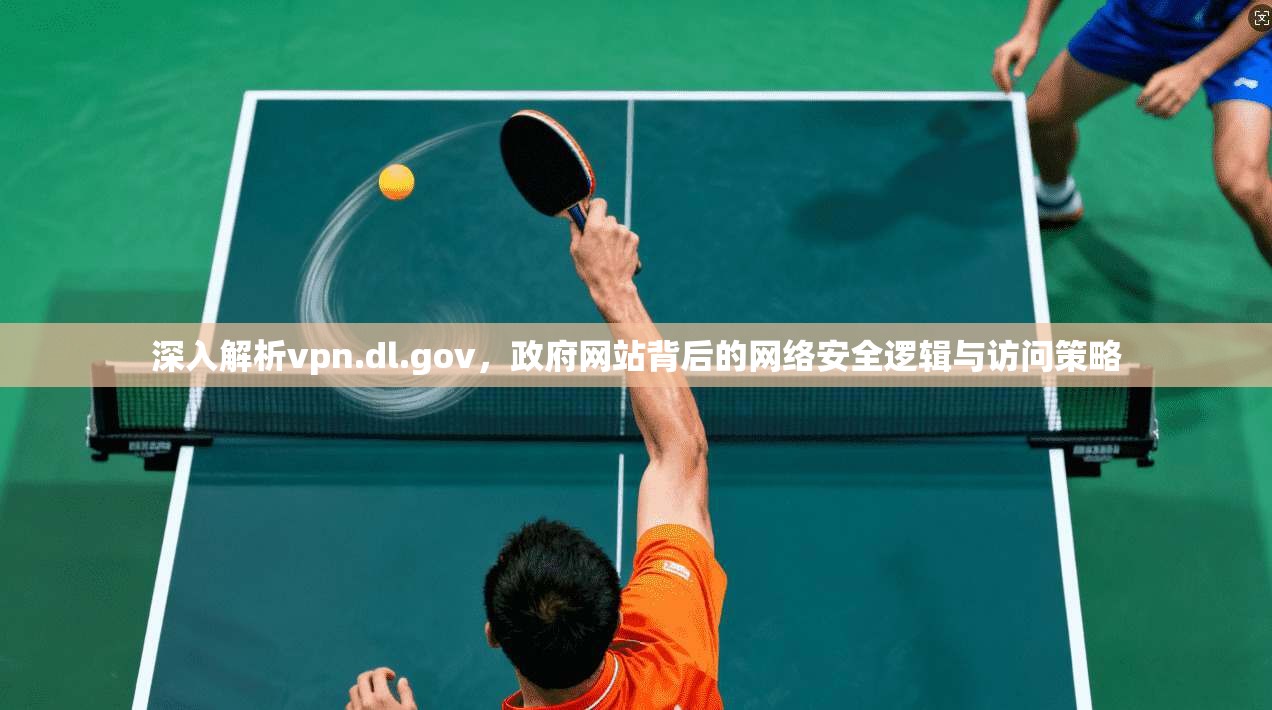 深入解析vpn.dl.gov，政府网站背后的网络安全逻辑与访问策略