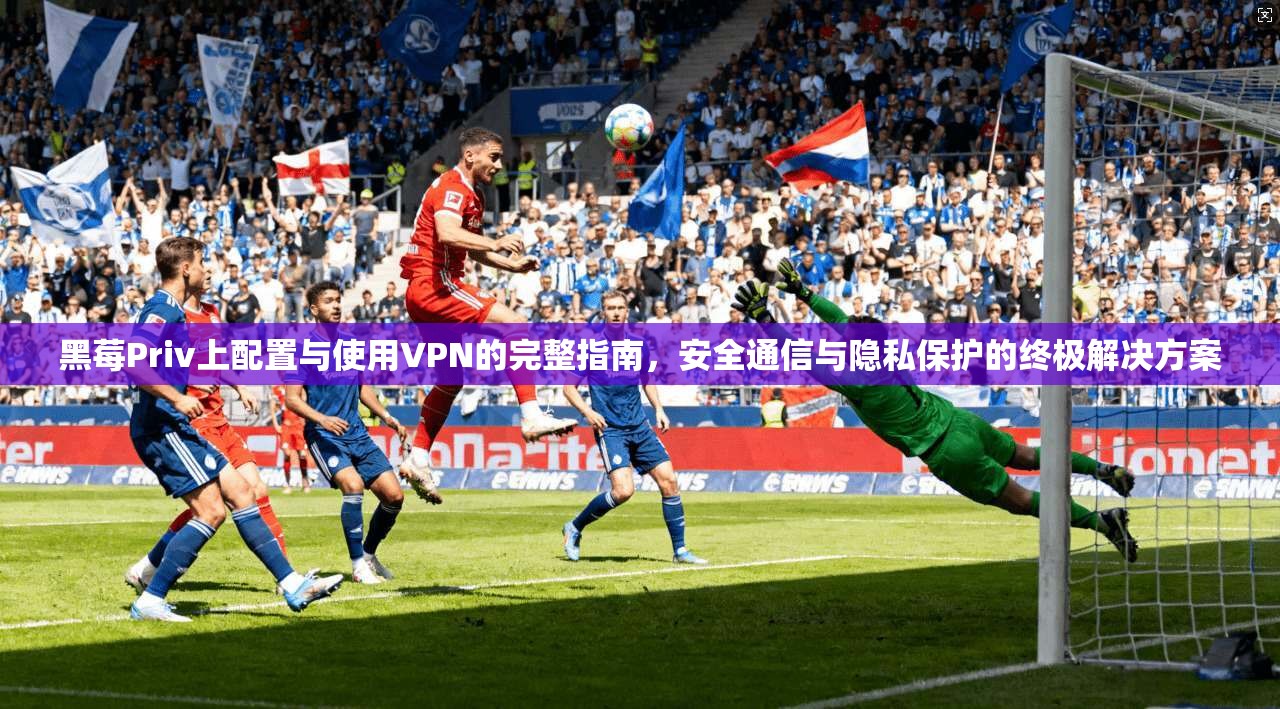 黑莓Priv上配置与使用VPN的完整指南，安全通信与隐私保护的终极解决方案