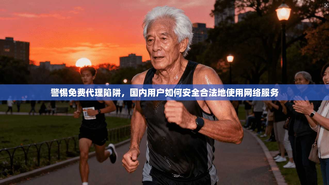 警惕免费代理陷阱，国内用户如何安全合法地使用网络服务