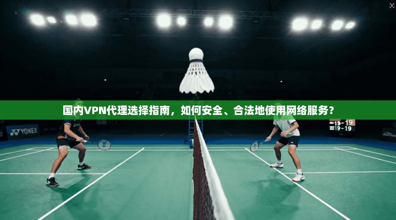 国内VPN代理选择指南，如何安全、合法地使用网络服务？