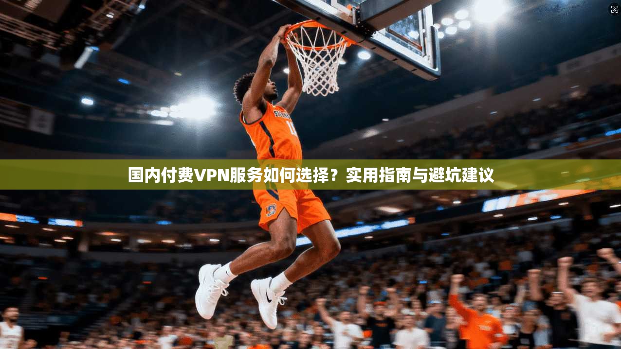 国内付费VPN服务如何选择？实用指南与避坑建议