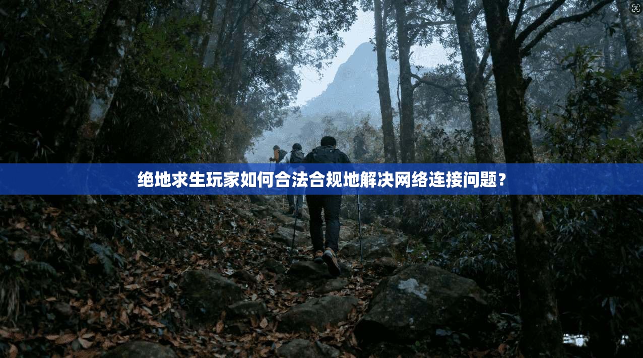 绝地求生玩家如何合法合规地解决网络连接问题？
