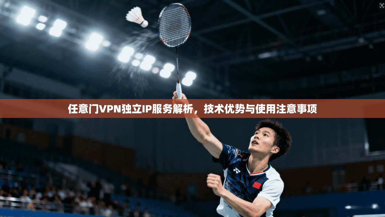 任意门VPN独立IP服务解析，技术优势与使用注意事项