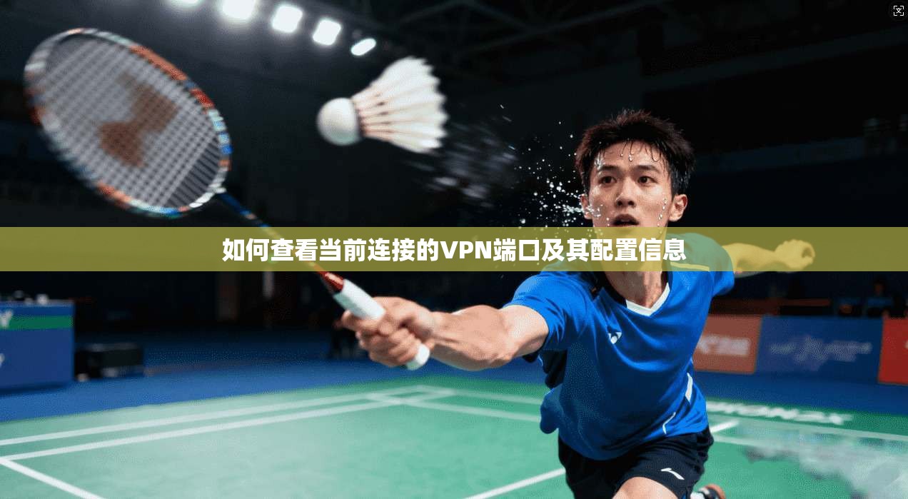 如何查看当前连接的VPN端口及其配置信息