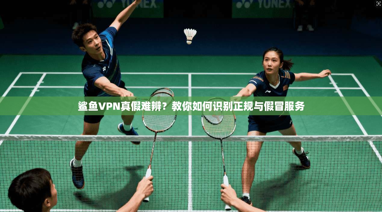 鲨鱼VPN真假难辨？教你如何识别正规与假冒服务