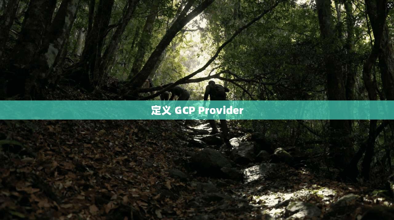 定义 GCP Provider