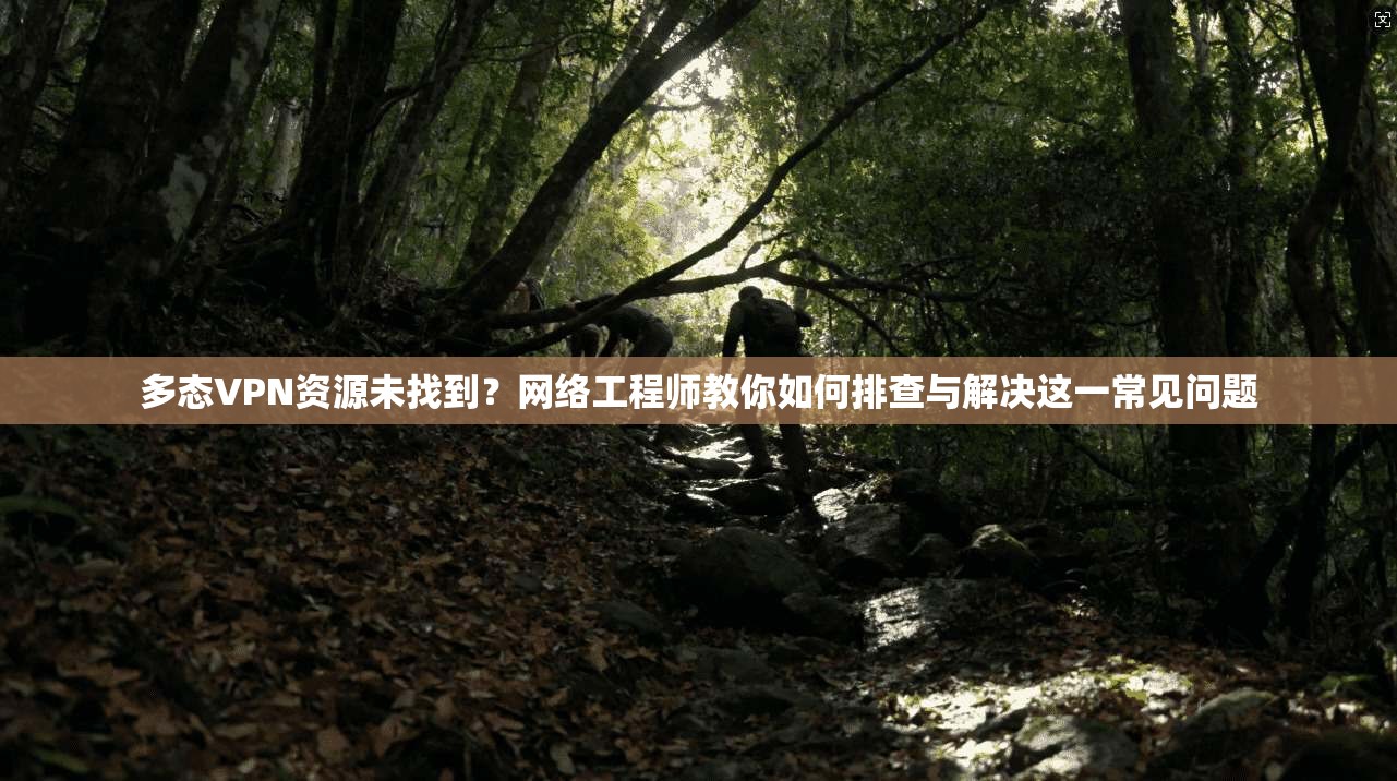 多态VPN资源未找到？网络工程师教你如何排查与解决这一常见问题