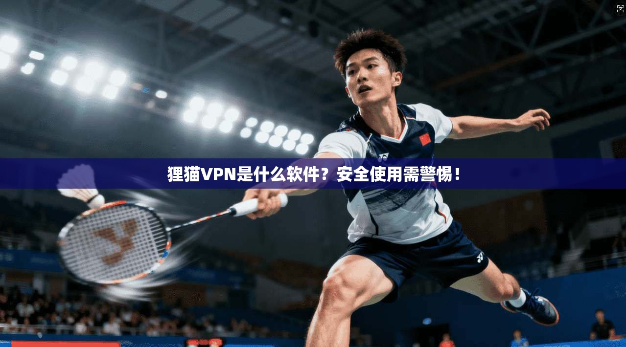 狸猫VPN是什么软件?安全使用需警惕! 狸猫VPN是什么软件?安全使用需警惕!